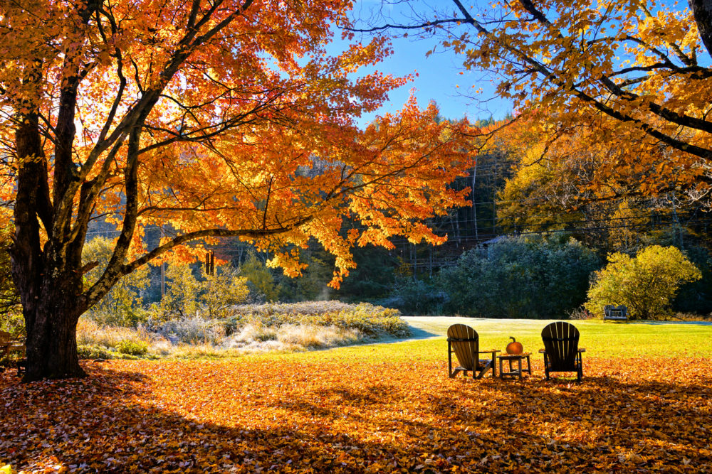 donde-hacer-un-picnic-vermont-1000x667 - Dónde hacer un picnic: lugares en el mundo para una experiencia especial