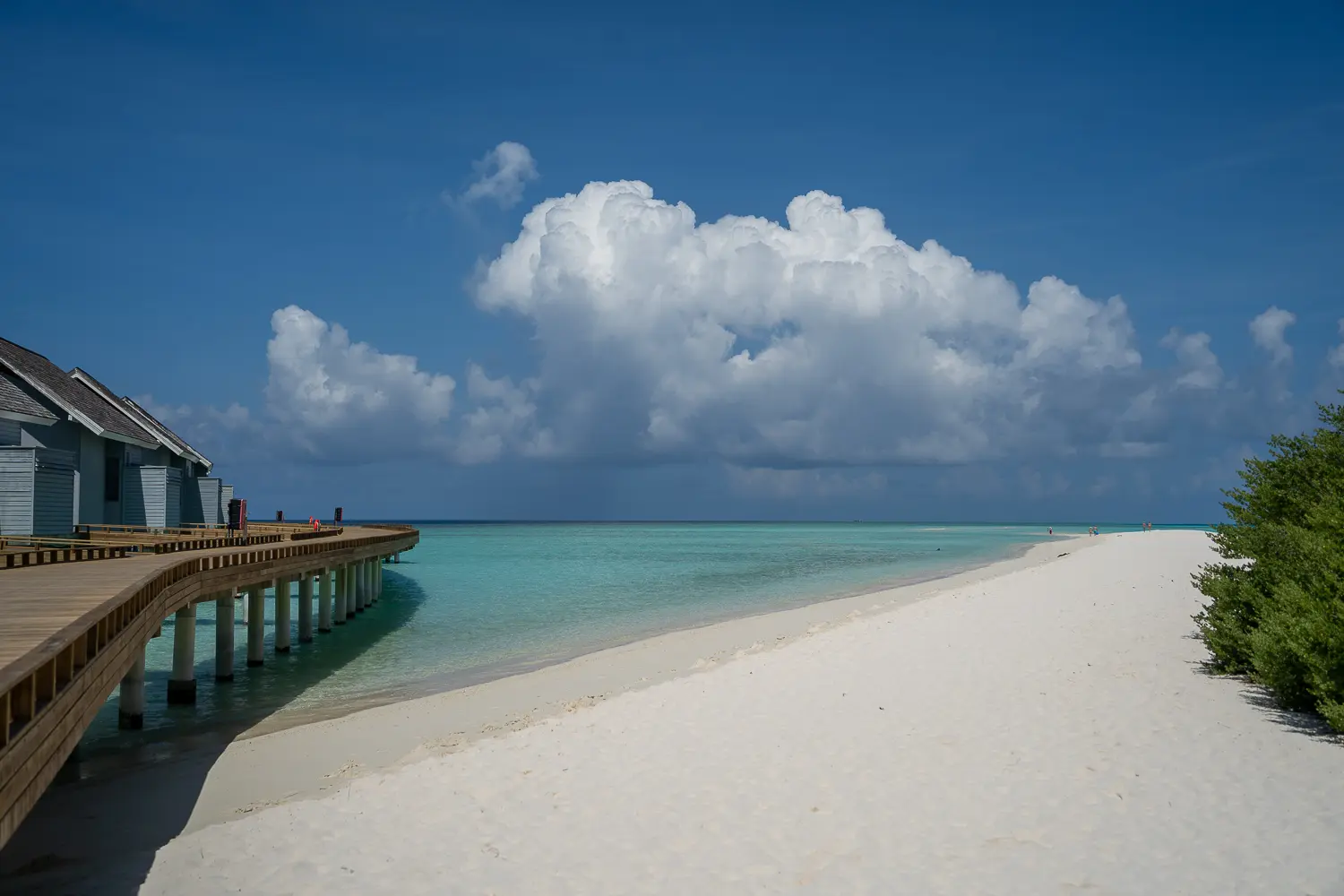Maldivas: 4 islas de ensueño para el lujo y la tranquilidad
