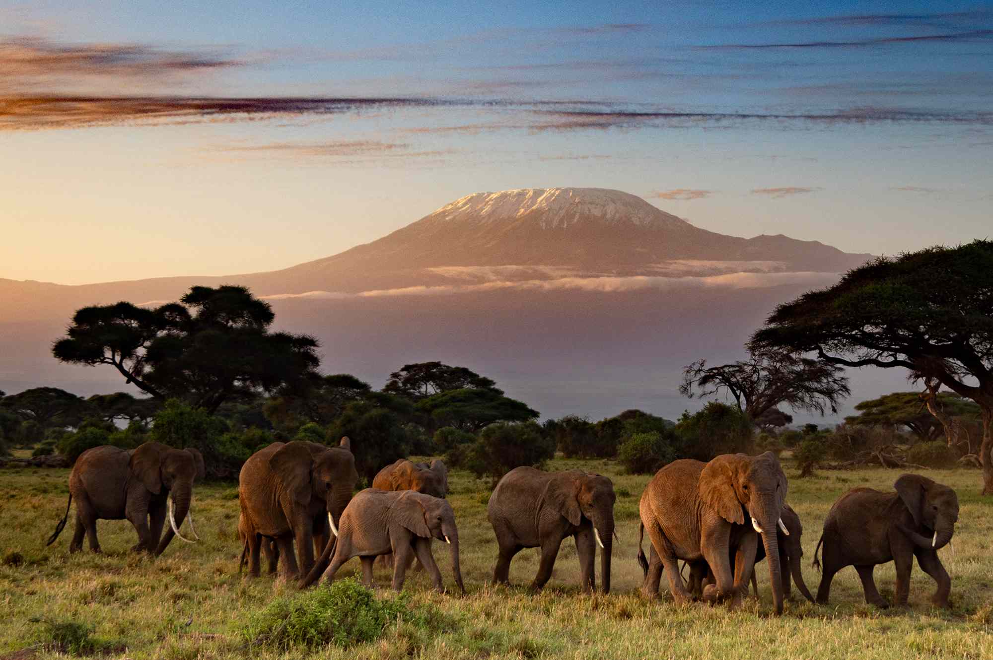 Esta nueva expedición de 12 días te llevará desde un impresionante parque nacional hasta la cima del monte Kilimanjaro