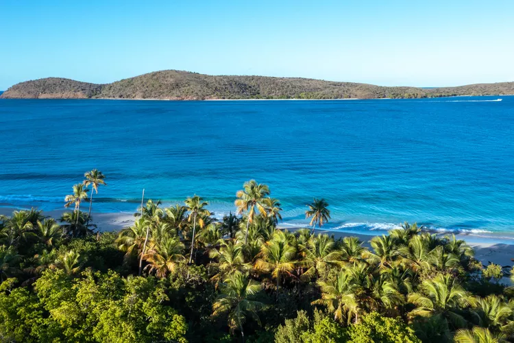 palmeras-en-culebra-puerto-rico - Culebra, la isla con una de las mejores playas de Puerto Rico y el mundo