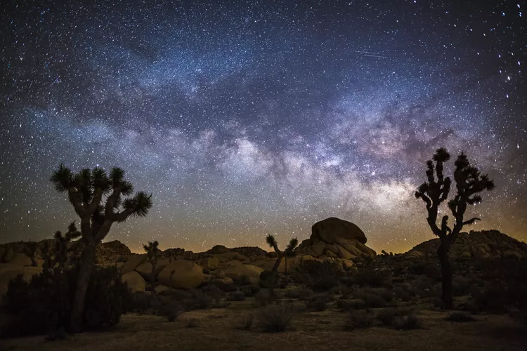 parque-nacional-joshua-tree-4 - Este parque nacional es conocido sus paisajes desérticos y observación de estrellas
