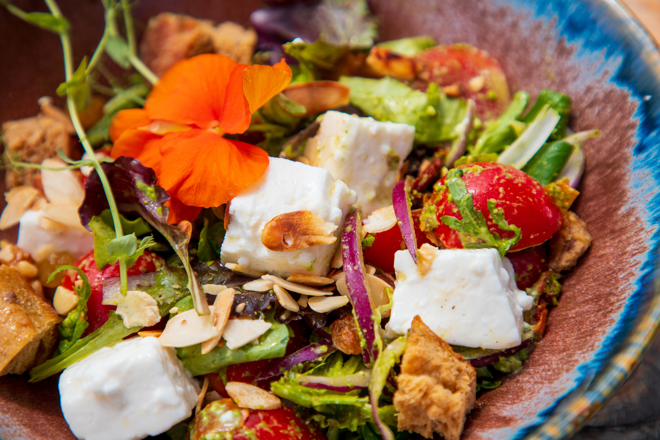 Estrella Verde Michelin: Qué significa y 3 restaurantes asequibles que la han obtenido