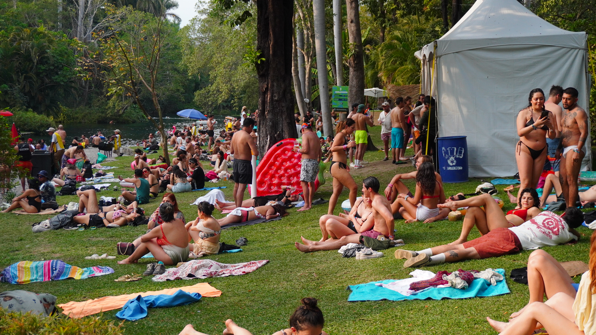 Asistí a un festival de música en medio de la naturaleza y esta fue mi experiencia  