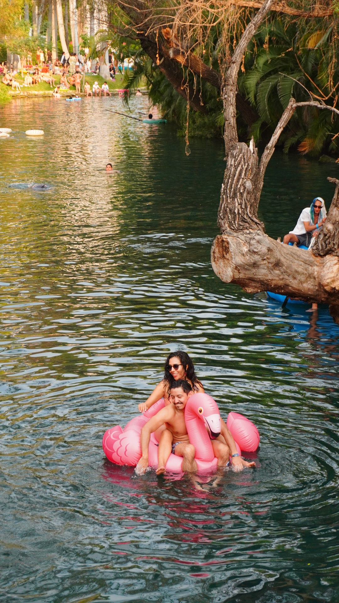 DSC00455-rotated - Asistí a un festival de música en medio de la naturaleza y esta fue mi experiencia  
