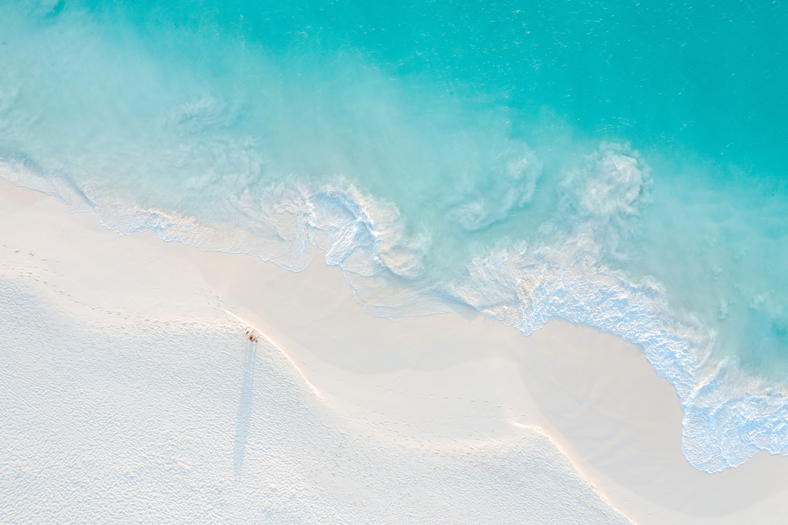 Aruba, el mejor destino con la mejor playa del Caribe Aruba, el mejor destino con la mejor playa del Caribe