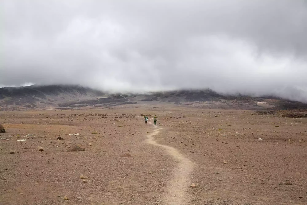 TAL-alpine-desert-mount-kilimanjaro-tanzania-07-KILIMANJARO1023-cc520140773f49349a657f9949d5d948-1000x667 - Subí los 5 mil 800 metros del monte Kilimanjaro: así es como me sentí