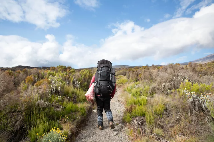 Subí los 5 mil 800 metros del monte Kilimanjaro: así es como me sentí