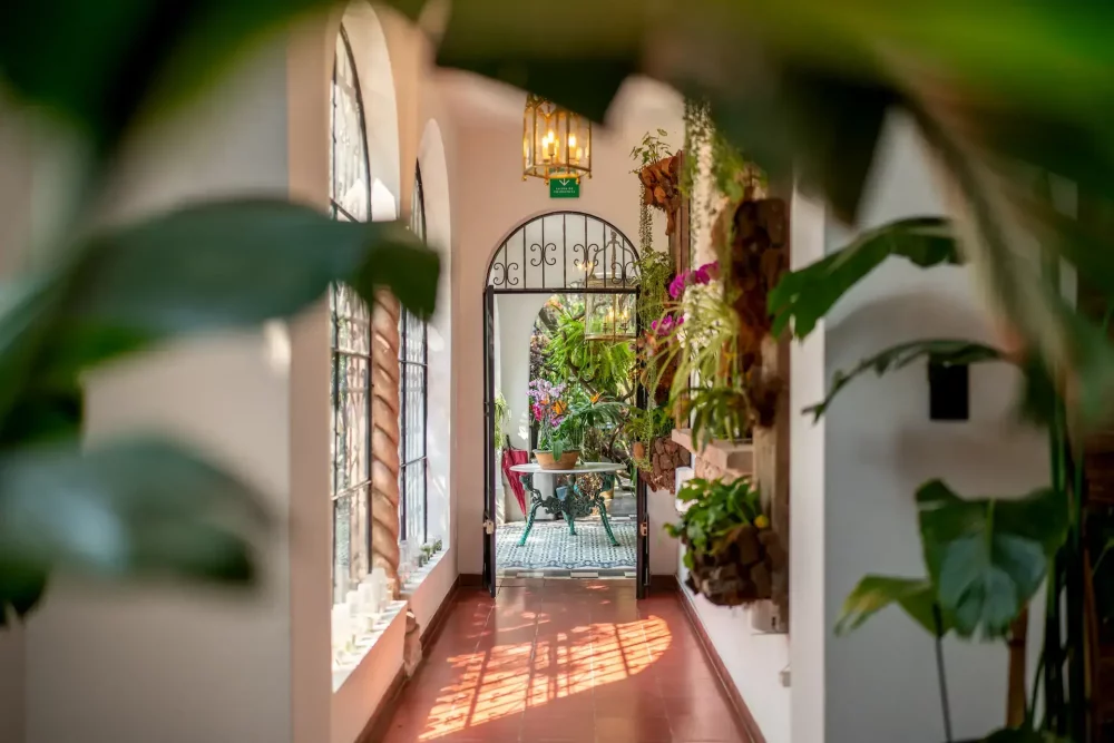 hotel-boutique-1000x667 - Descubre el “lujo silencioso” en Orchid House Hotels