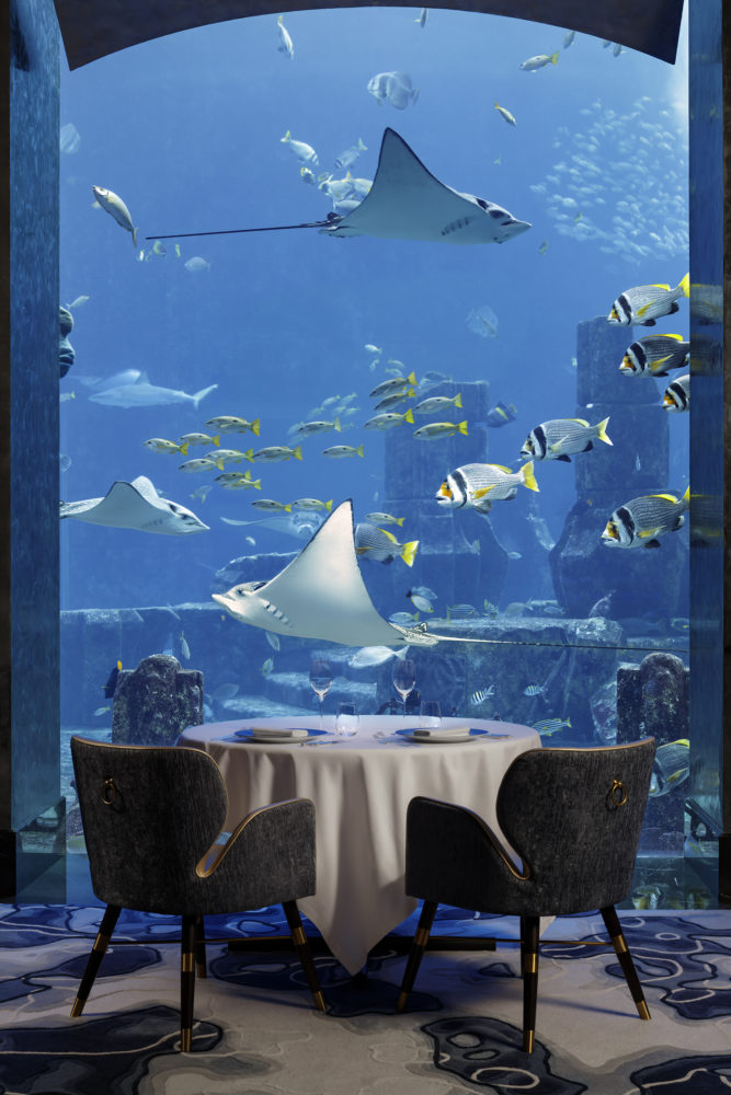 ossiano-interior1-667x1000 - Ossiano, el restaurante submarino con estrella Michelin