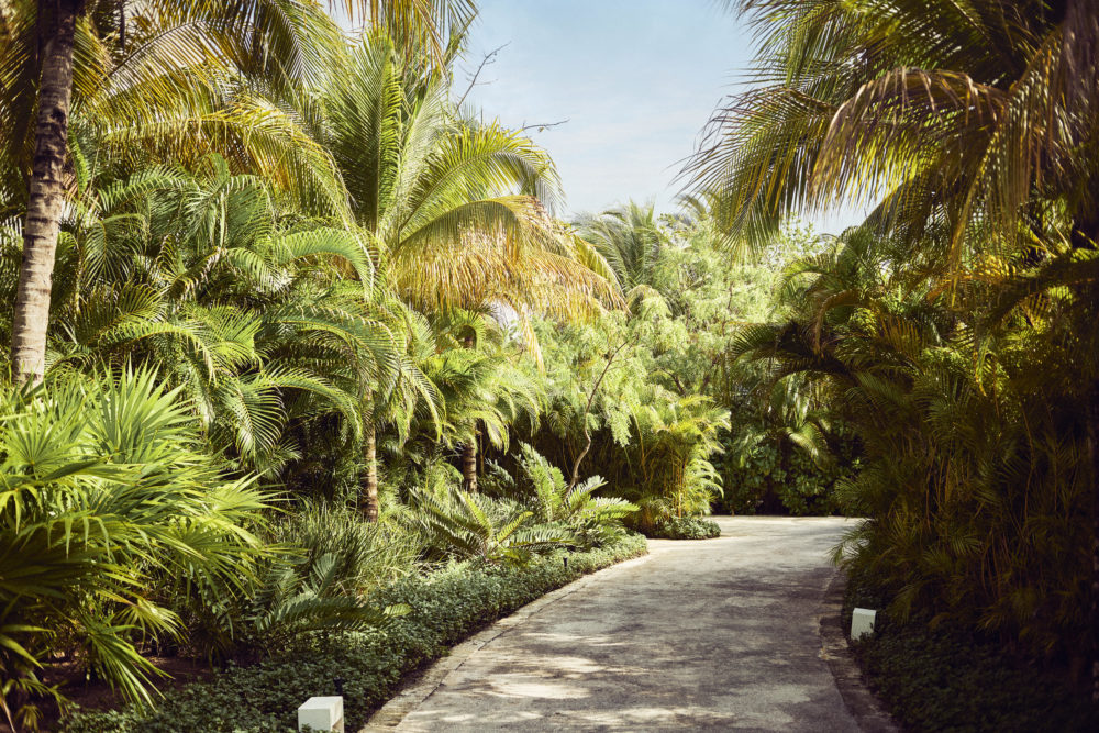 20230415-092401-Chable-Maroma-0015-1000x667 - Chablé Maroma: lujo sustentable en la Riviera Maya