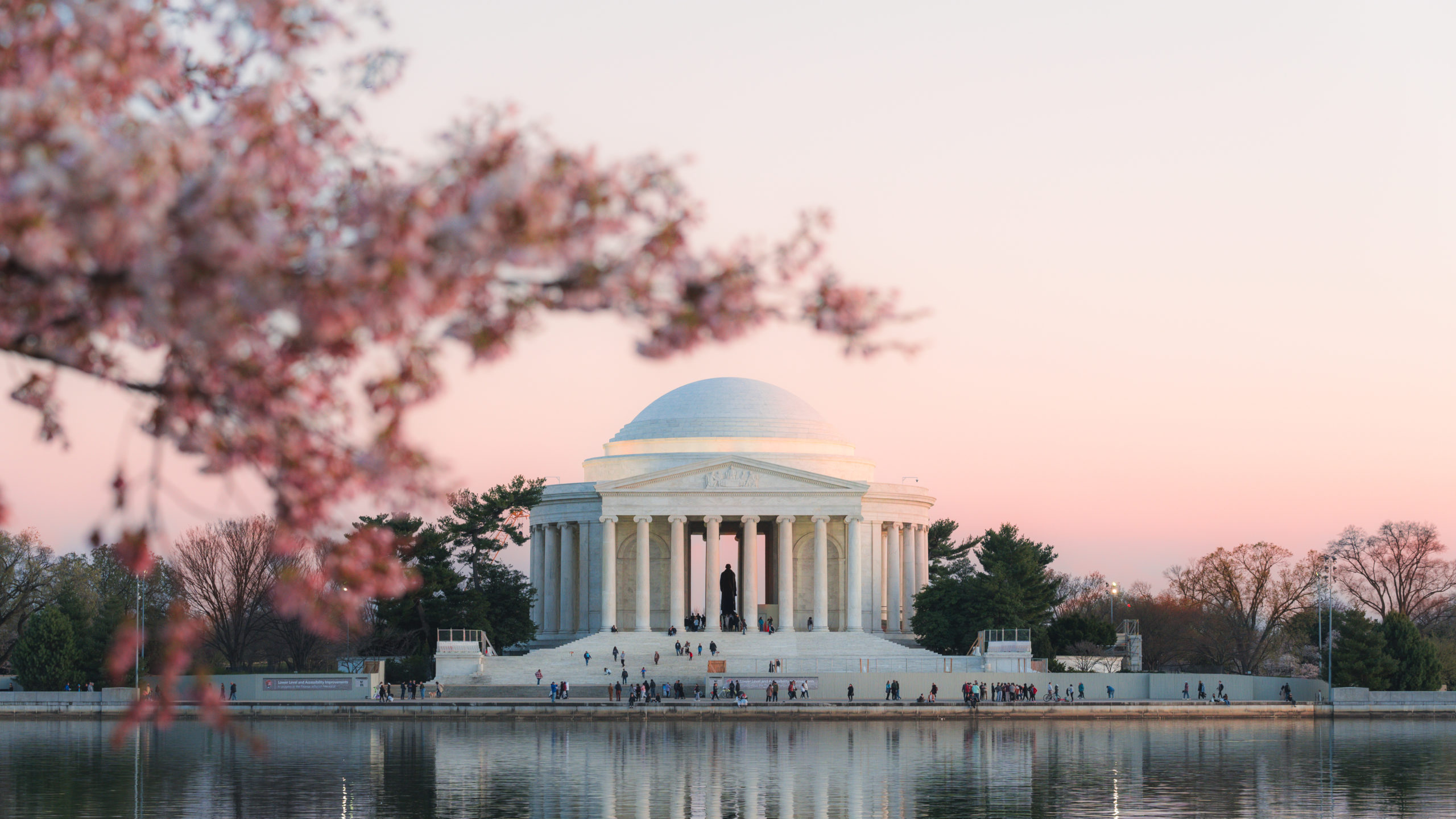 Celebra la llegada de la primavera con el Festival Nacional de Cerezos en Flor en Washington Celebra la llegada de la primavera con el Festival Nacional de Cerezos en Flor en Washington
