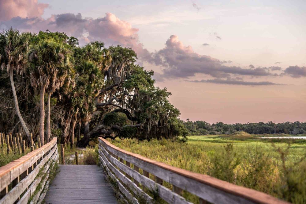 Este parque estatal de Florida alberga humedales, praderas floreadas y rutas de senderismo
