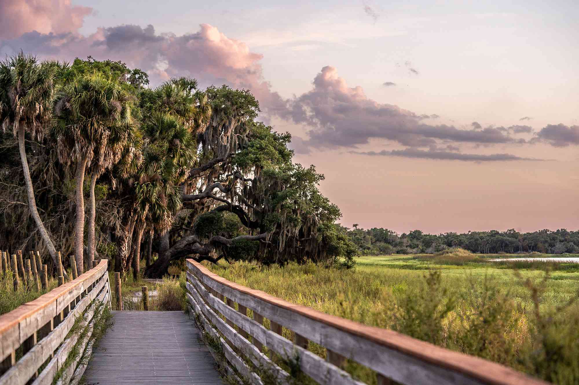 Este parque estatal de Florida alberga humedales, praderas floreadas y rutas de senderismo