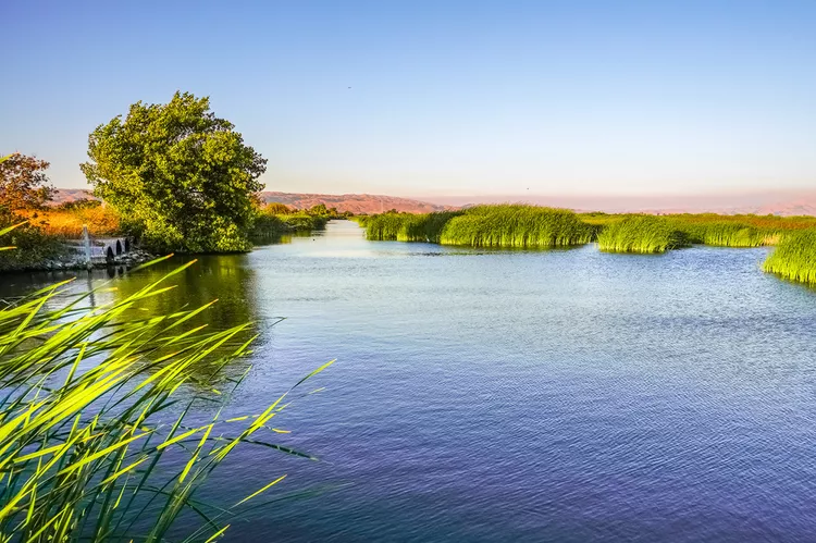 Esta es la ciudad más feliz de Estados Unidos, según estudio