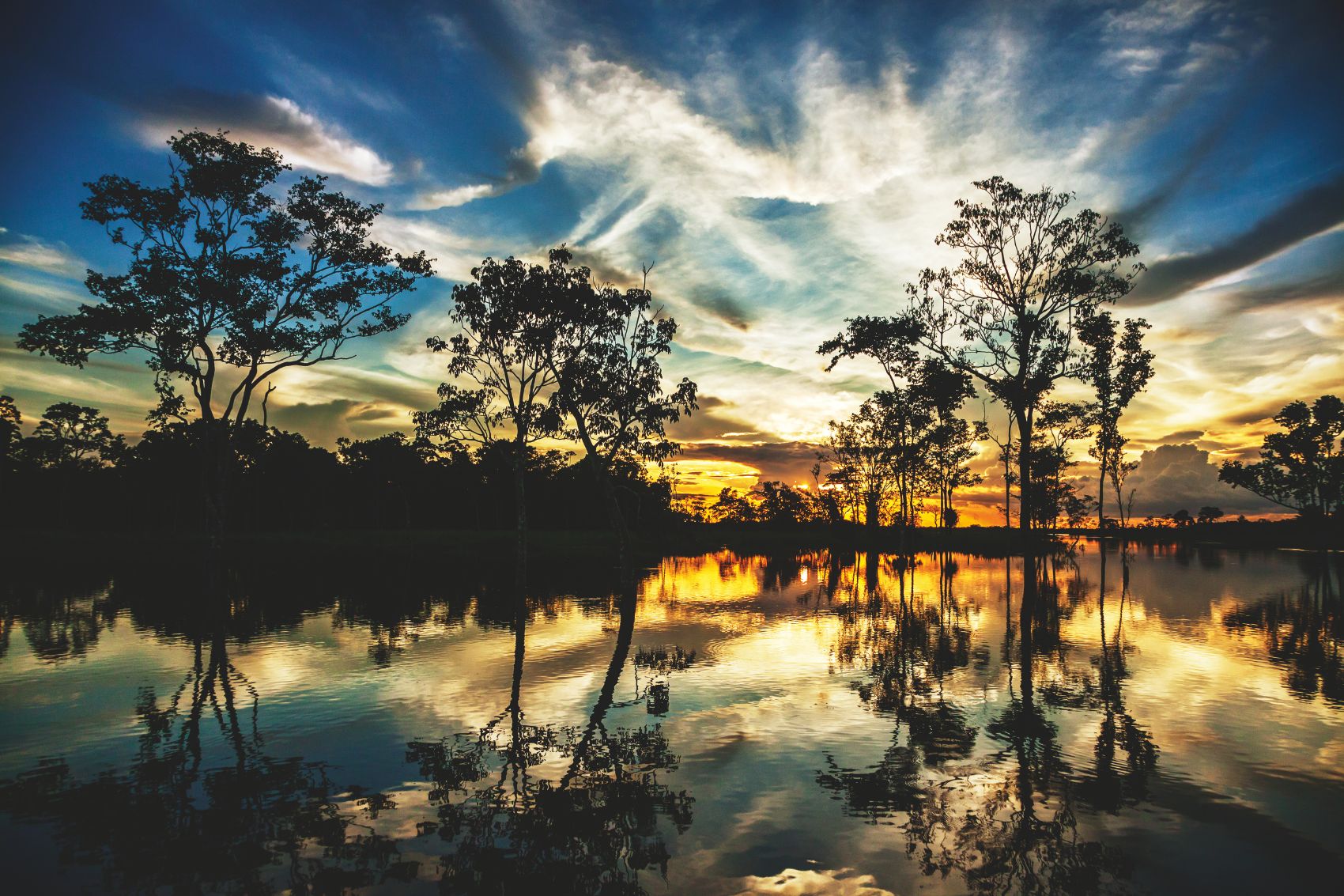 Así es navegar en un crucero por el Amazonas