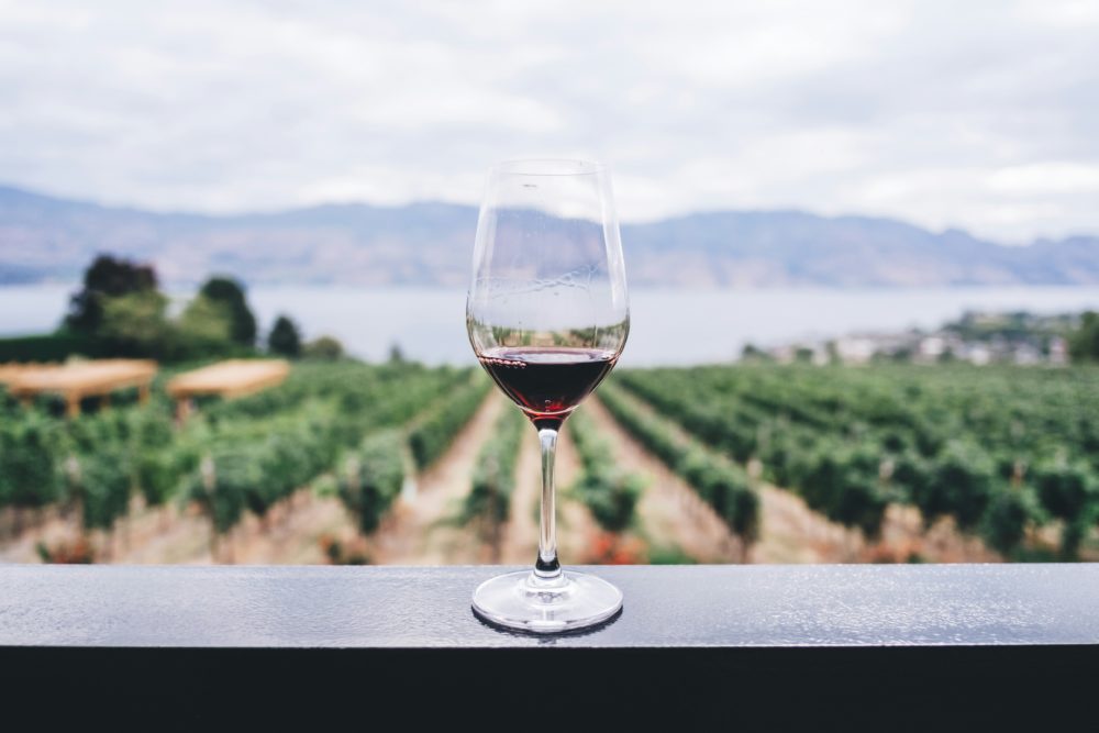 kym-ellis-aF1NPSnDQLw-unsplash-1000x667 - Más allá del Valle de Guadalupe: destinos para los amantes del vino en México
