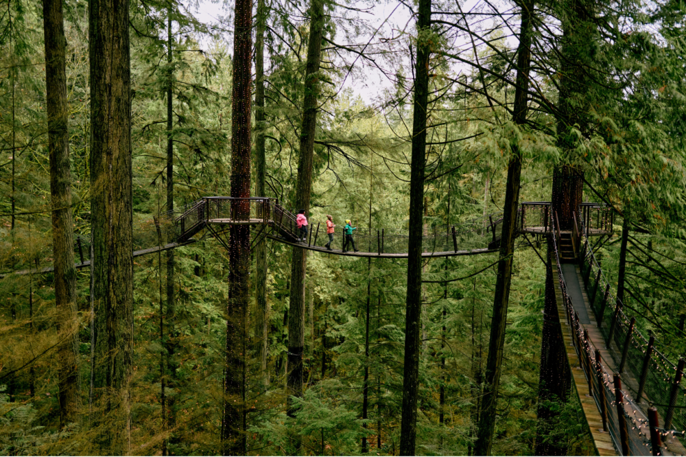 paisaje-vancouver-bosque-1000x666 - ¿Cómo es Vancouver en primavera?