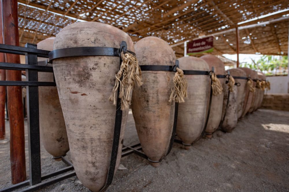 Estas son las nuevas iniciativas de las «Rutas del Pisco” en Perú