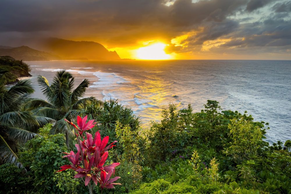 Delta agrega un nuevo vuelo a Kona, Hawái