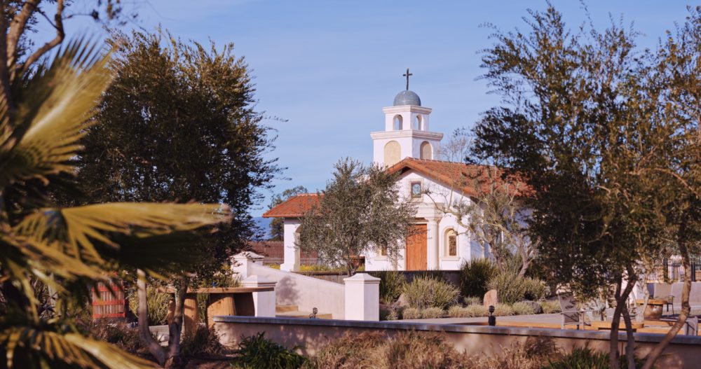Ceja-Vineyards-1000x527 - Al norte de California: con el paladar como guía