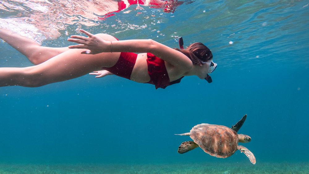 Puerto-Rico-1-1000x563 - Puerto Rico: aventura, naturaleza y adrenalina en una sola Isla