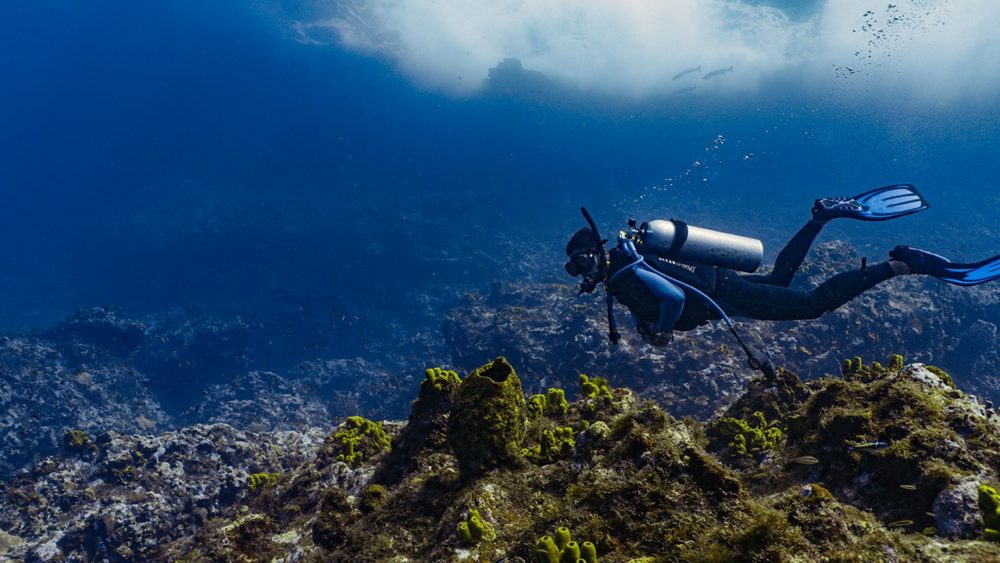 Puerto-Rico-5-1000x563 - Puerto Rico: aventura, naturaleza y adrenalina en una sola Isla