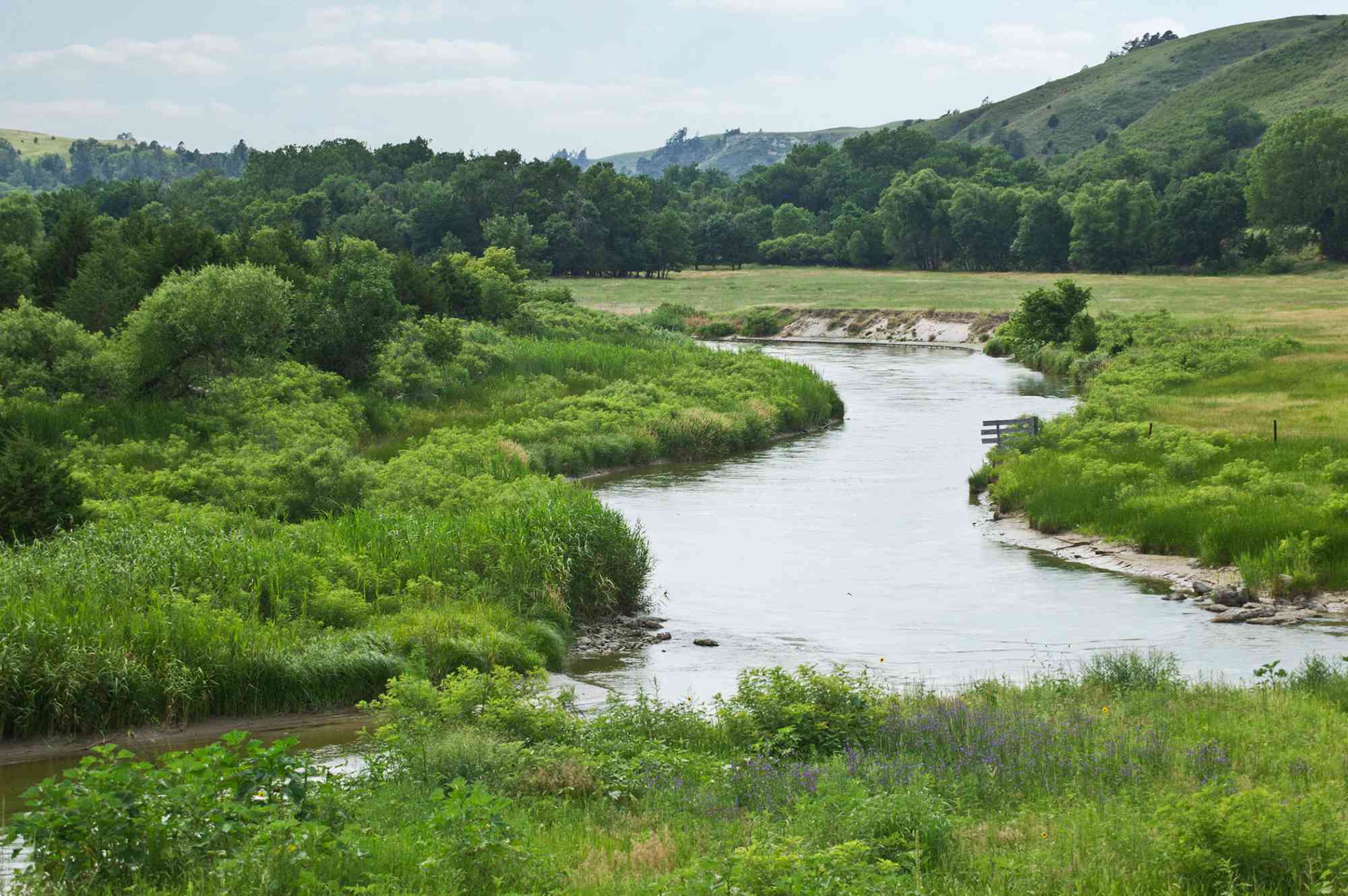 El río más silencioso de EEUU: Niobrara recibe la designación de Sendero Tranquilo