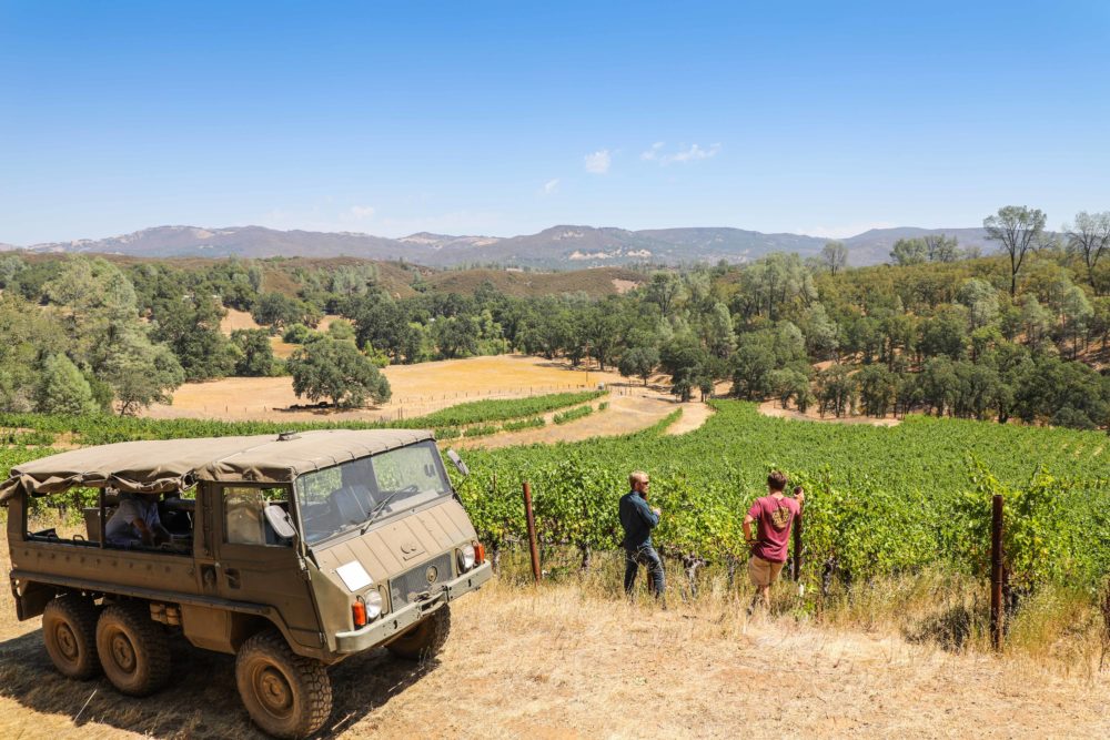 Six-Sigma-Vineyard-1000x667 - Al norte de California: con el paladar como guía