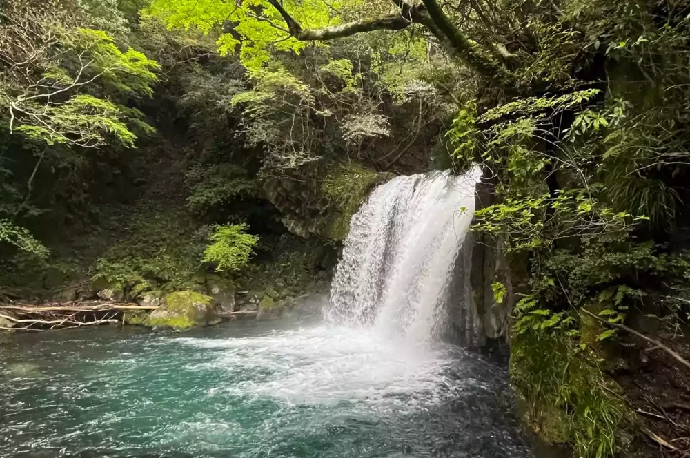 TAL-kawazu-seven-waterfalls-trail-izu-geo-trail-japan-IZUJAPAN0425-d5ea81a1e8cf4c40af31e4532afd3ddf-1000x665 - Esta península japonesa es considerada la cuna del wasabi. Y también tiene impresionantes cascadas