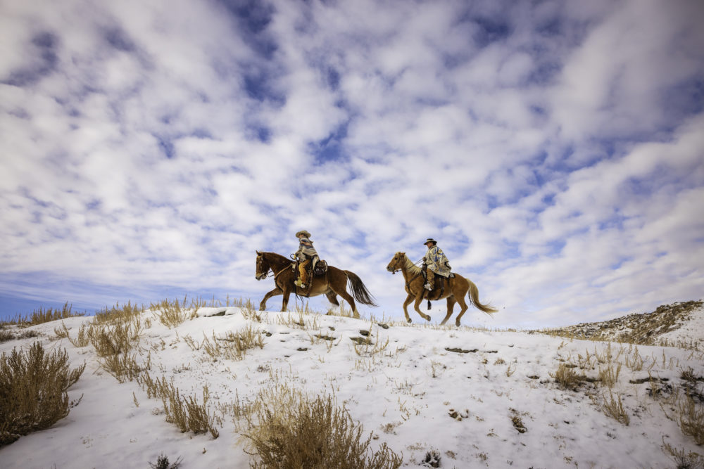 iStock-2016478145-1000x667 - Wyoming: el refugio en The Last Of Us donde la naturaleza y la resistencia humana se encuentran