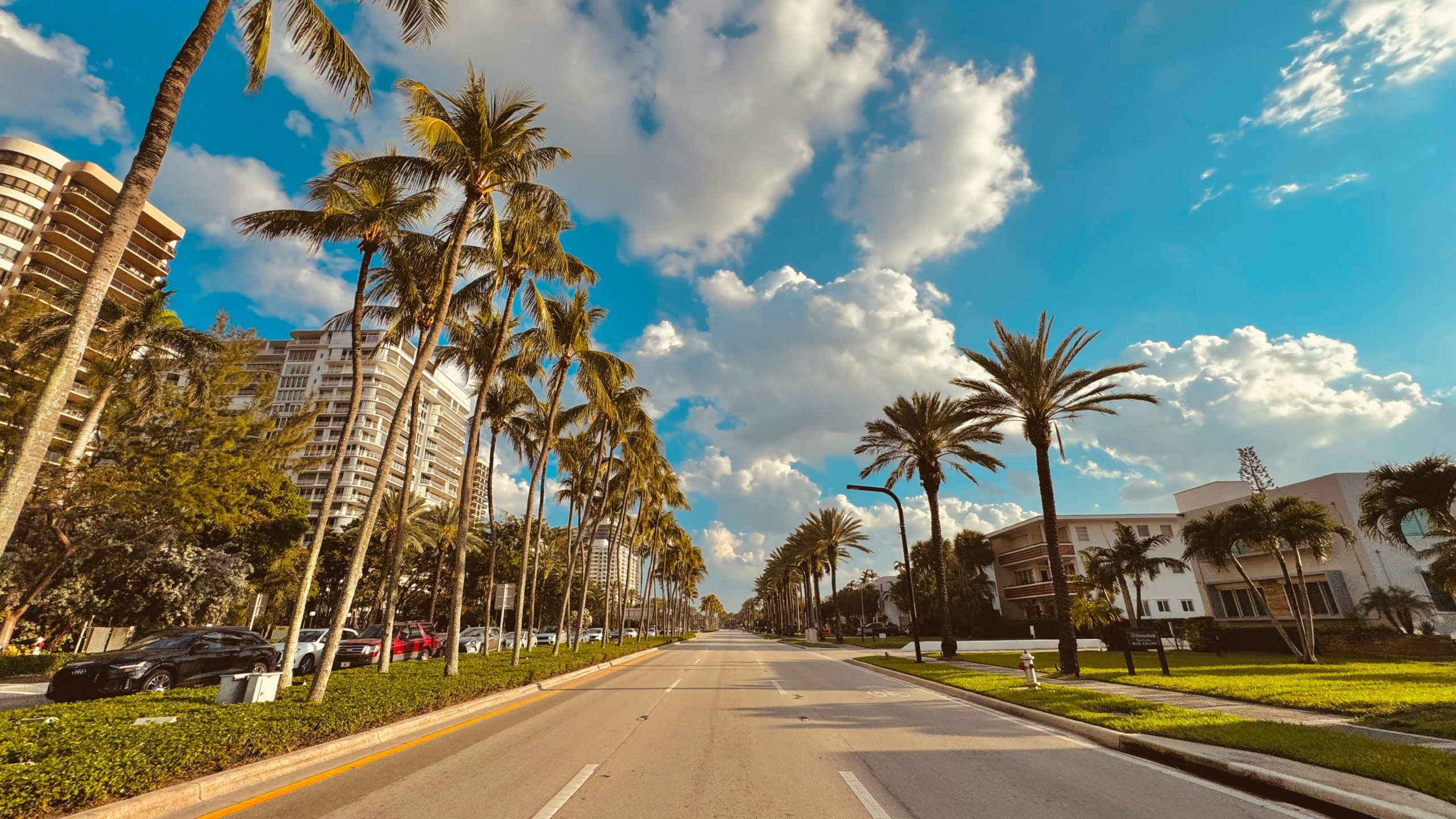 Amor al estilo South Beach: Miami se corona como el hotspot de las lunas de miel Amor al estilo South Beach: Miami se corona como el hotspot de las lunas de miel