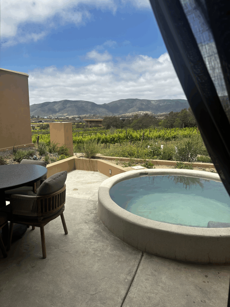 IMG_5407-750x1000 - Un oasis entre viñedos: así es Banyan Tree Veya Valle de Guadalupe, el nuevo refugio de lujo y bienestar en Baja California