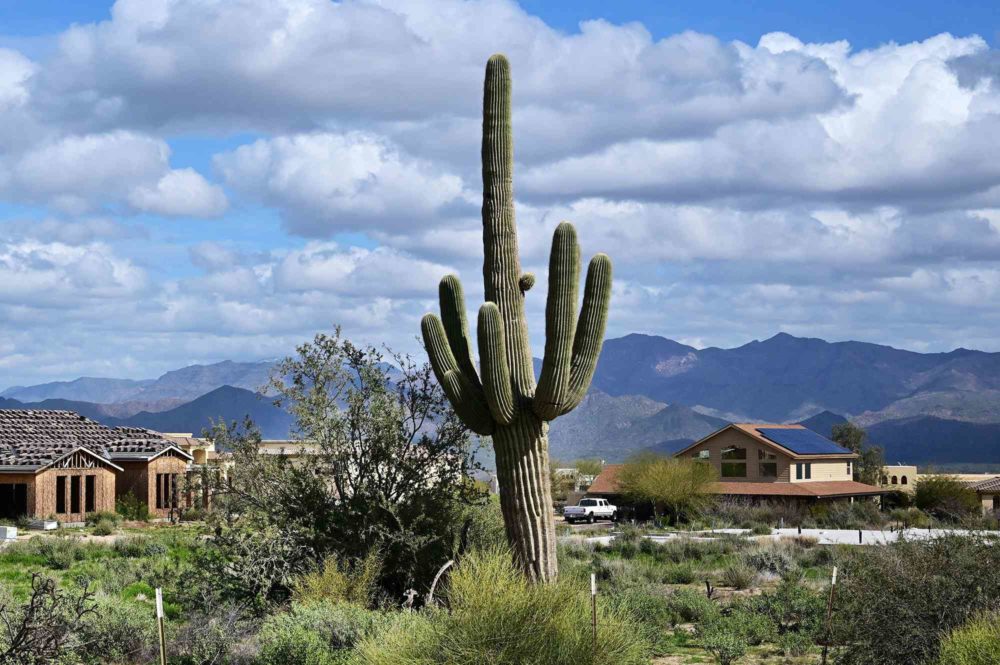 El rincón de Arizona donde puedes jubilarte bien… sin ser millonario