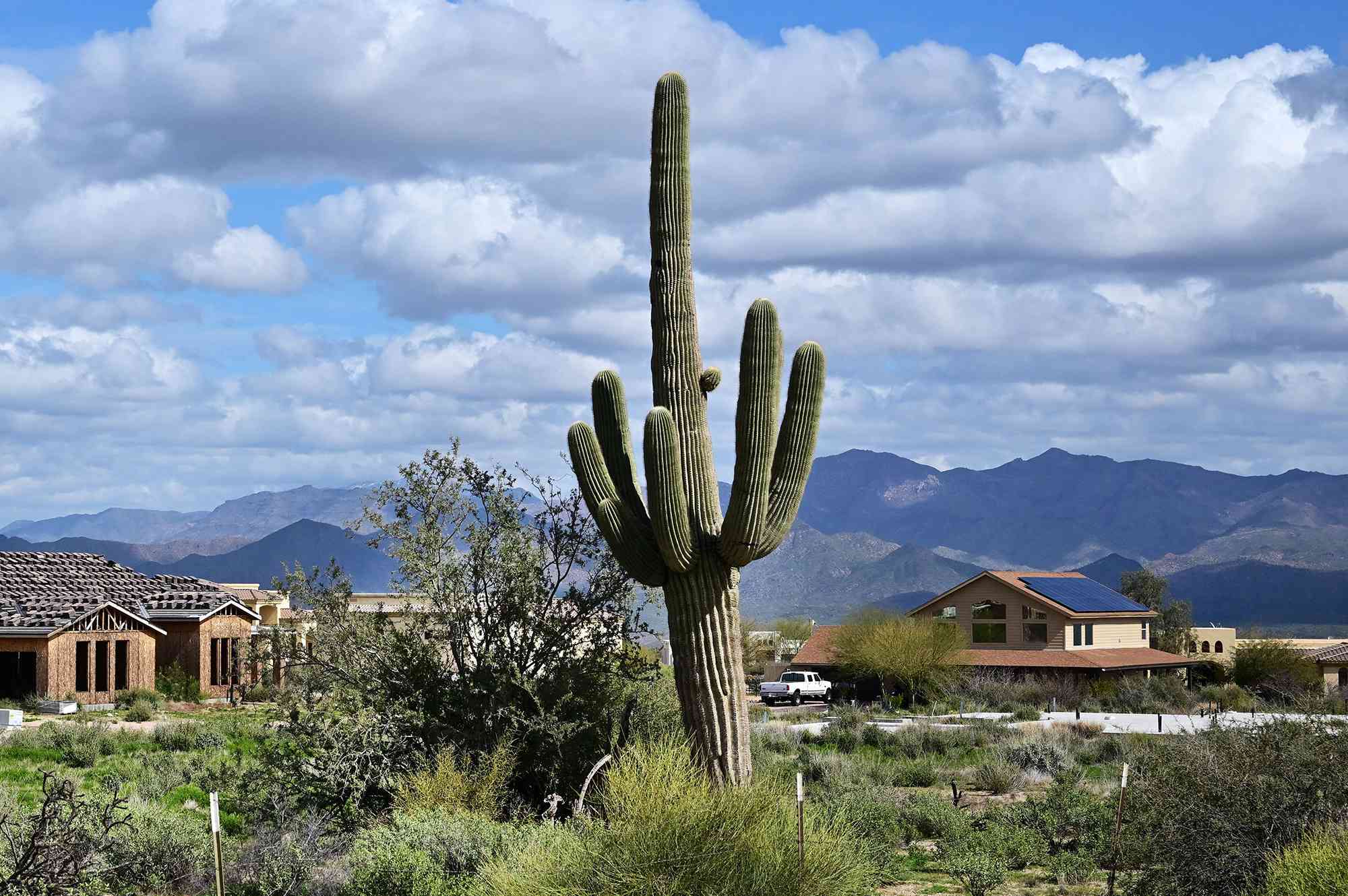 El rincón de Arizona donde puedes jubilarte bien… sin ser millonario El rincón de Arizona donde puedes jubilarte bien… sin ser millonario