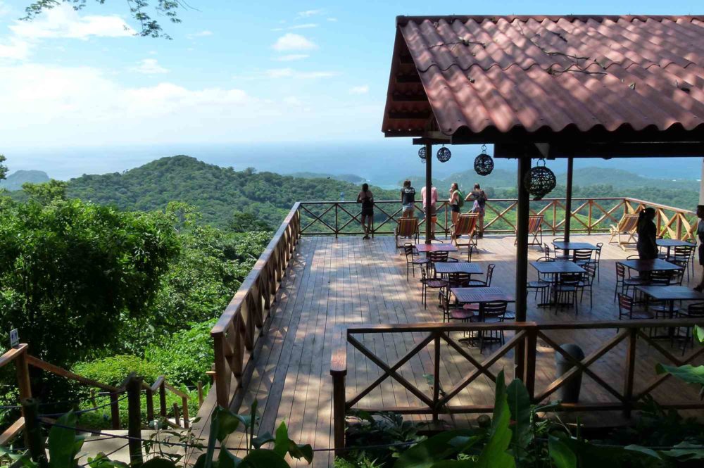 Pérezosos, volcanes y tirolesas: así es explorar el Parque de Aventura Las Nubes de Nicaragua