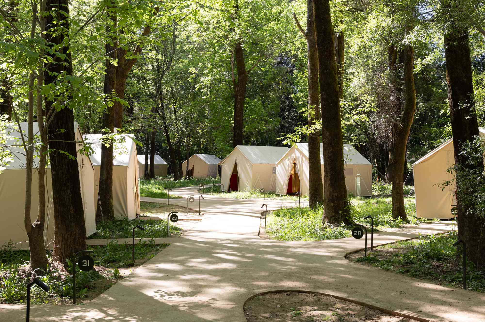 The River Electric: el nuevo refugio entre secuoyas que reinventa el verano californiano The River Electric: el nuevo refugio entre secuoyas que reinventa el verano californiano