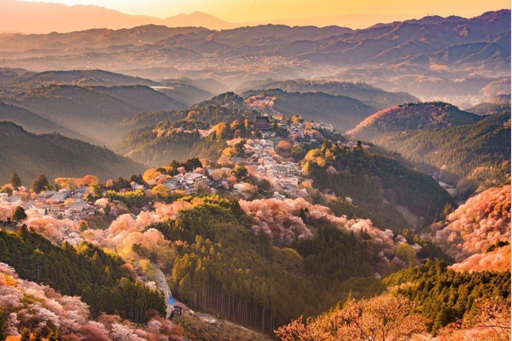 Esta ciudad tiene las joyas ocultas más sorprendentes de Japón (no es Tokio ni Kioto)