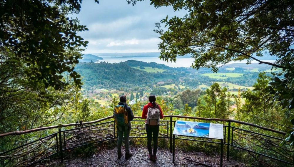 retiro-bienestar-patagonia-puyuhuel-senderos-1000x567 - El secreto de la juventud eterna