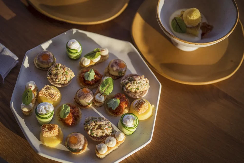 TAL-matca-hotel-appetizers-BUTTERFIELDROMANIA0725-fb52a4bae2824d53bddbffd7c8650fdd-1-1000x667 - Una de las mejores formas de conocer Rumania es pedaleando por pueblos medievales, castillos y viñedos