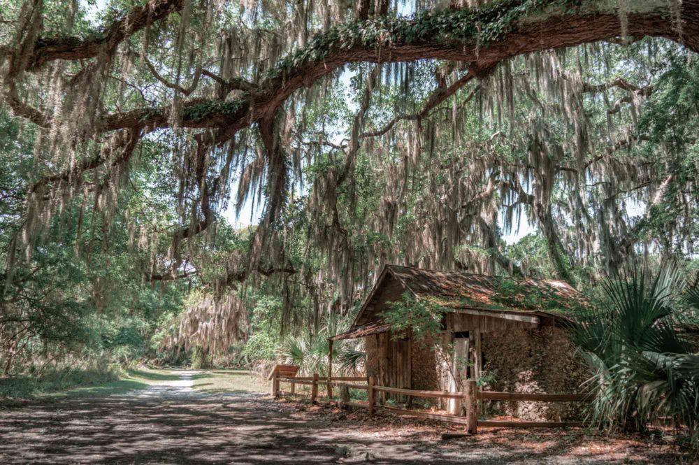 St. Simons Island, Georgia: la joya escondida de EE.UU. que debes visitar este verano