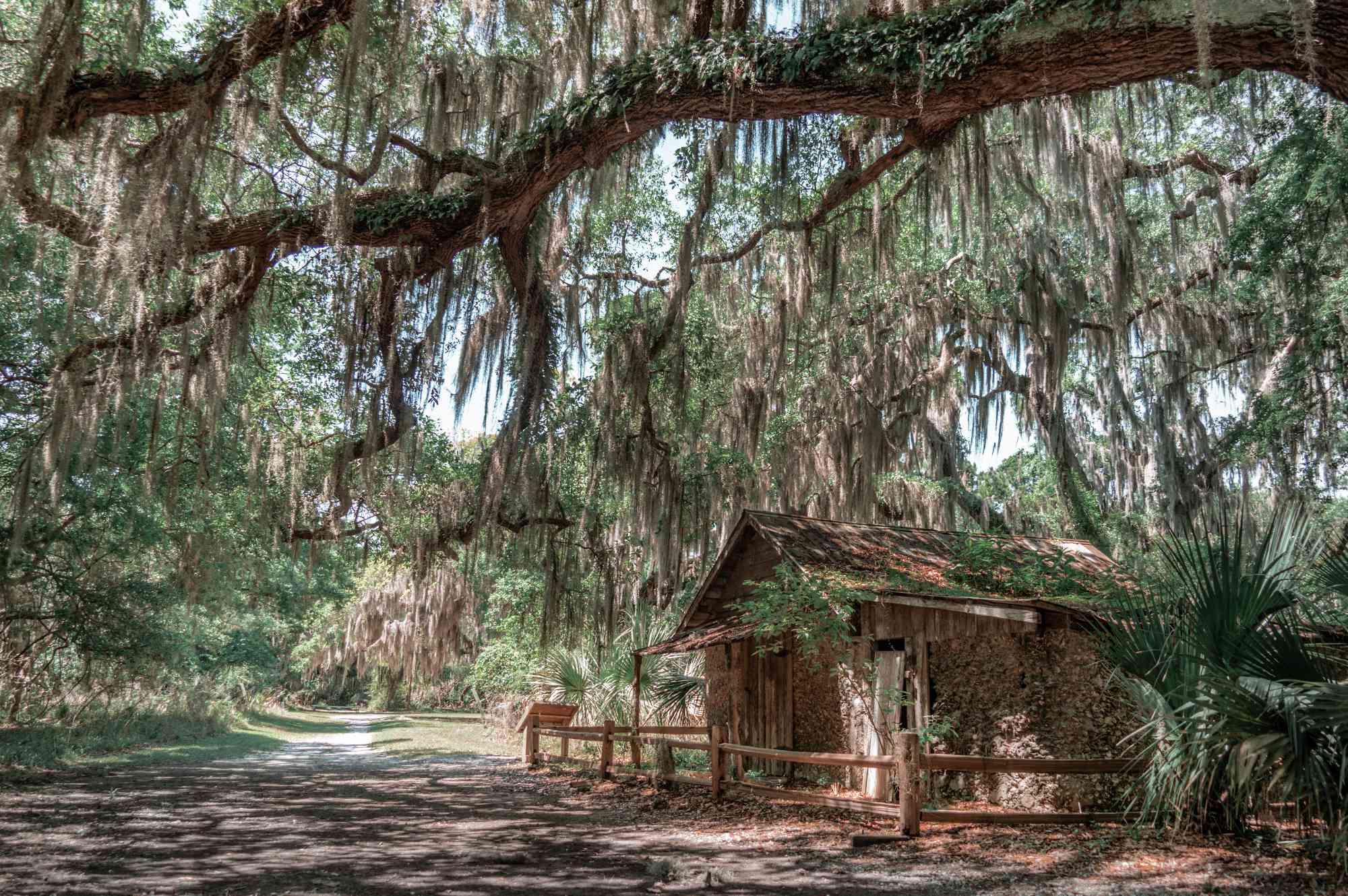St. Simons Island, Georgia: la joya escondida de EE.UU. que debes visitar este verano St. Simons Island, Georgia: la joya escondida de EE.UU. que debes visitar este verano