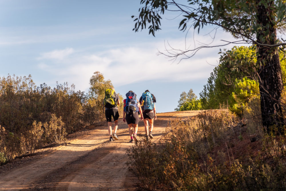iStock-2122796536-1000x667 - Prepara la mochila y las botas: todo lo que necesitas saber sobre el Camino de Santiago