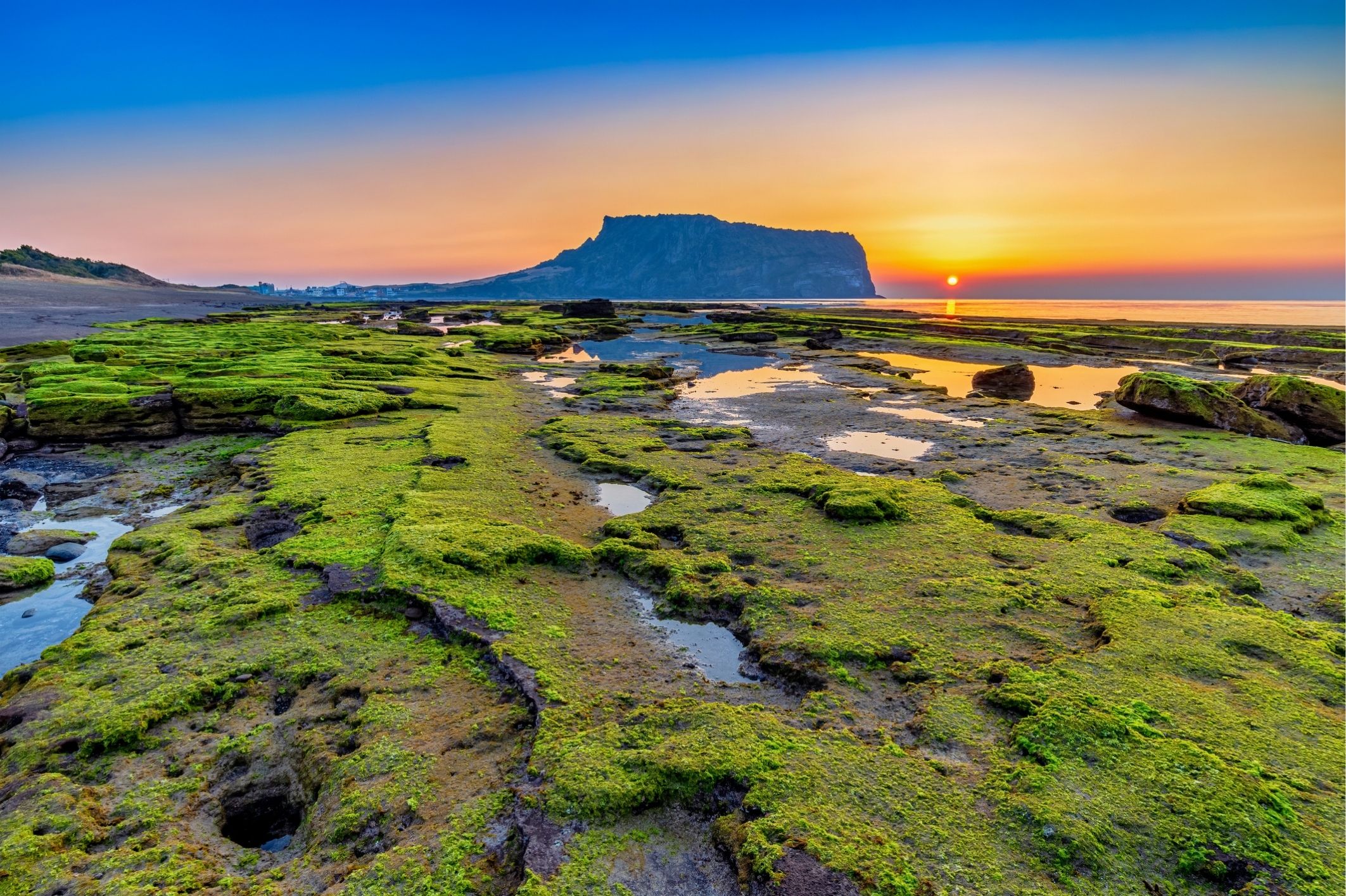 La isla de Jeju abrirá al público sitios restringidos este verano La isla de Jeju abrirá al público sitios restringidos este verano