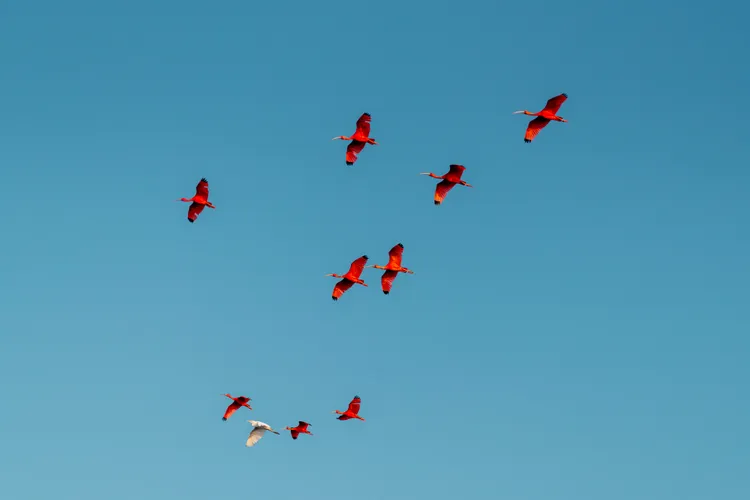 Este país sudamericano (poco visitado)es un paraíso natural y el sueño de todo fotógrafo