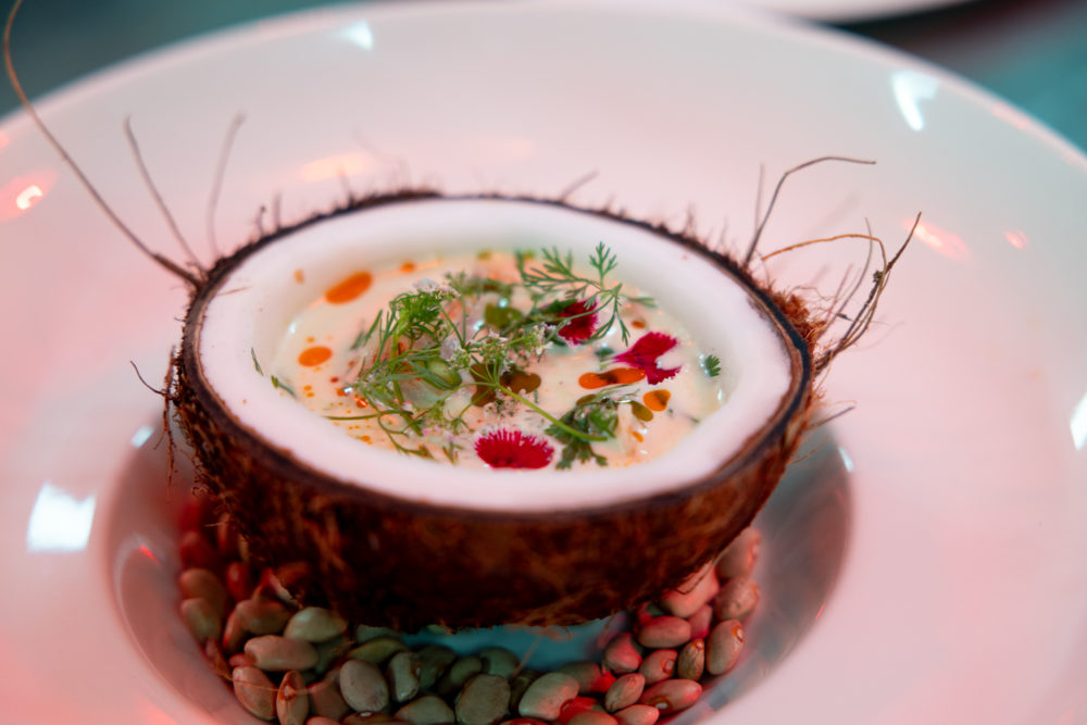 Apapaxoa 2025: un abrazo de sabores, ideas y comunidad en Xcaret