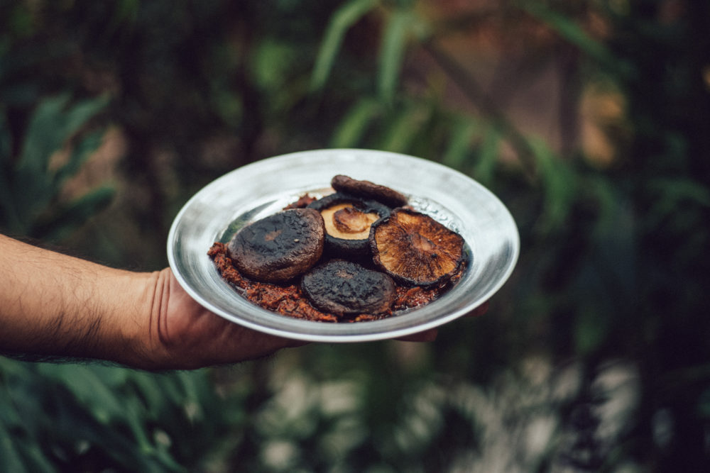 8-1000x667 - Chui: hongos, vegetales y conservas