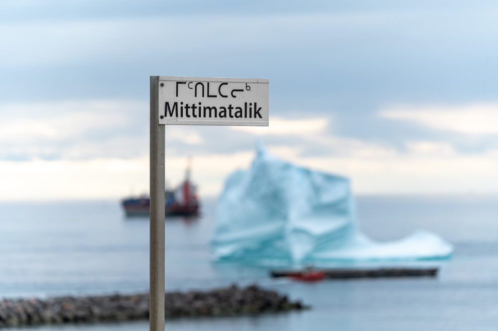 Crucero en el Ártico: encuentros inesperados en Groenlandia y Nunavut