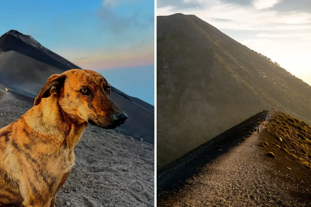 TAL-hiking-dog-volcan-acatenango-guatemala-HIKEDVOLCANO0725-e65fbffcbf3e4a4aab5e635220a7be7d-1000x665 - Me dijeron que tal vez nunca volvería a caminar… así que subí un volcán en Guatemala