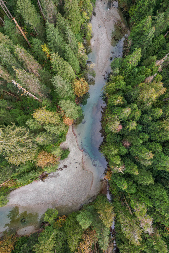 Ursus-Valley-Clayoquot-Lodge-BC-Canada-667x1000 - Clayoquot Lodge: naturaleza de lujo en la Isla de Vancouver