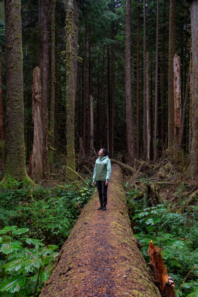 bosque-lluvioso-templado-Clayoquot-Lodge-Isla-de-Vancouver-665x1000 - Clayoquot Lodge: naturaleza de lujo en la Isla de Vancouver